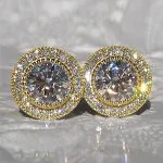 Zircon Shiny Round Diamond Earrings – Wrena