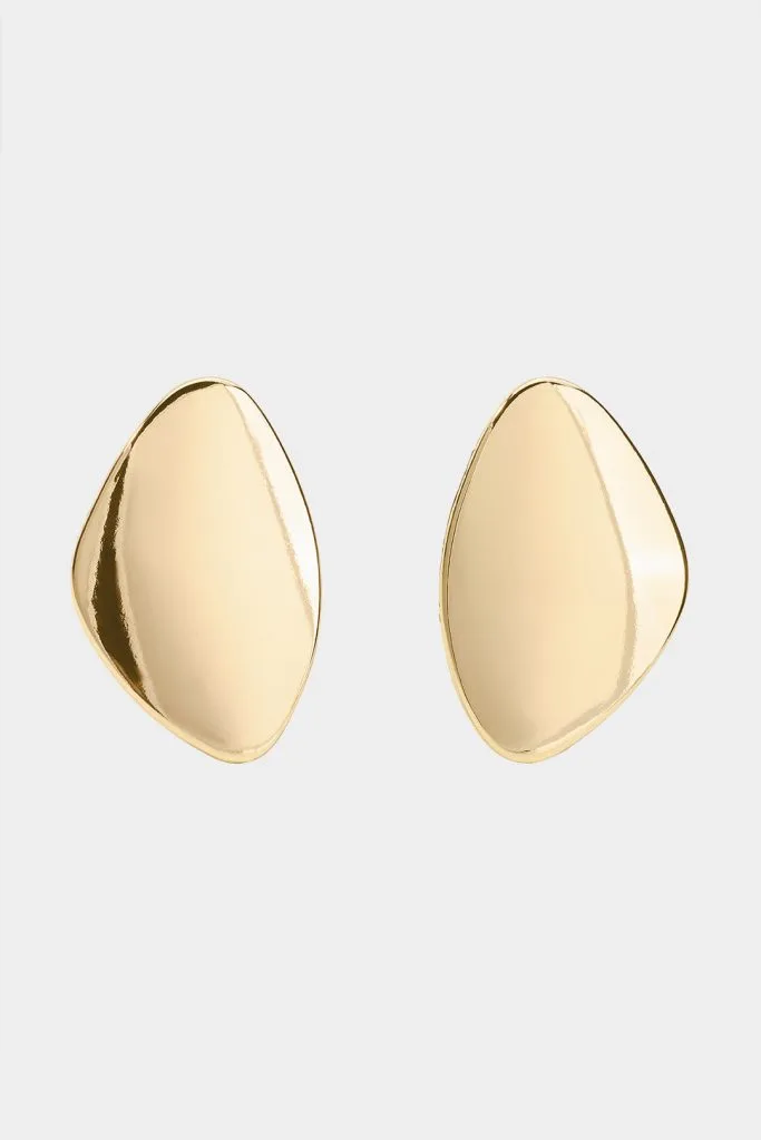 Metal Irregular Earrings