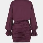 Ruched V-Neck Drawstring Ruffle Long Sleeve Mini Dress – Wrena