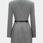 Asymmetrical Notched Lapel Belted Long Sleeve Mini Dress – Wrena