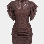 Sheer Lace Mock Neck Ruched Short Sleeve Mini Dress – Wrena