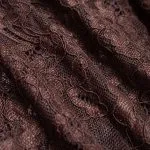 Sheer Lace Mock Neck Ruched Short Sleeve Mini Dress – Wrena
