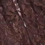 Sheer Lace Mock Neck Ruched Short Sleeve Mini Dress – Wrena