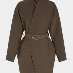 V-Neck Metallic Belted Long Sleeve Mini Dress – Wrena