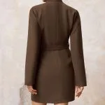 V-Neck Metallic Belted Long Sleeve Mini Dress – Wrena