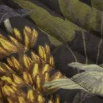 Leaves Print Jacket – Wrena